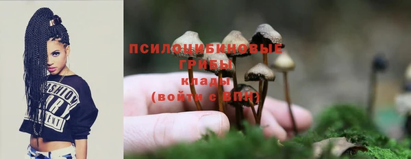 первитин Нефтегорск
