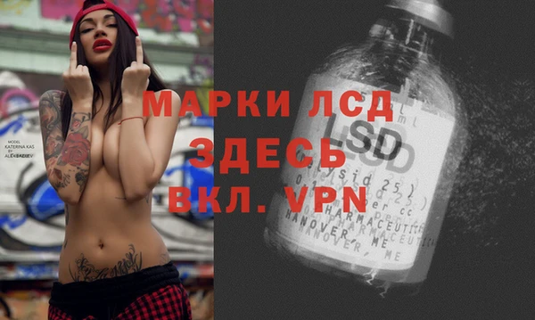 крисы Аркадак